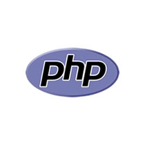 website development agency in usa